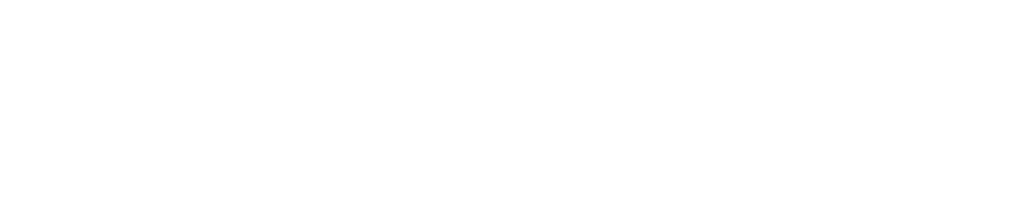 KingClean
